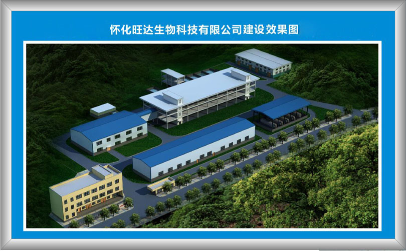 Huaihua Wangda Biotechnology Co., Ltd.